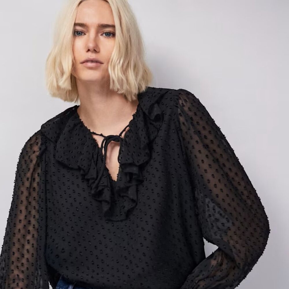 Sheer Ruffle Neck Polka Dot Blouse